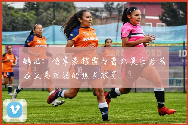 鹕记：德章泰穆雷与普尔复出后或成交易市场的焦点球员