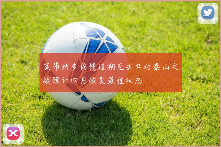 莱昂纳多伤情追溯至去年对泰山之战预计四月恢复最佳状态