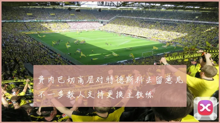 费内巴切高层对特德斯科去留意见不一多数人支持更换主教练